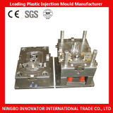 Injection Moulding, Injection Mould Factory in China (MLIE-PIM046)