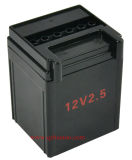 Professional Manufacturer of Motorcycle Battery Case