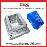 Plastic Injection Industrial Crate/Box Mould