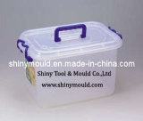 Shiny Mould-Plastic Container Mould