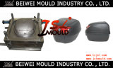 New Plastic Injection Motorcycle Trunk Mould