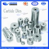 Carbide Spinner Dies and Cutting Dies