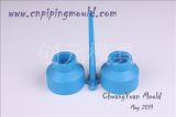 PPR Reducer Plastic Injection Mould