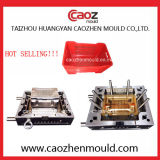 Plastic Injection/High Quality Vegetables Crate Mould