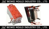 High Quality Plastic Car Battery Container Mould