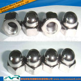 ASTM SAE ISO Steel Cap Nut Nylon Cap Nut