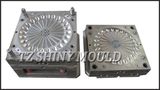 Taizhou Shiny Mould & Plastic MFG Co., Ltd.