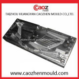 Professional Manufacture of Injection Auto Car Light Mould