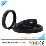 Oil Resistance Rubber O Ring Dust Seals