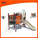 CE Outdoor Playground Equipment (1069A)