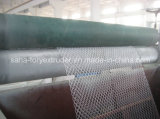 HDPE Plastic Net Extrusion Line/ Plastic Extruder Machine