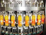 High Quality Juice Processing Machinery/Juice Machine