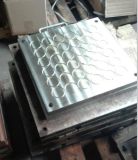 Rubber O Ring Mould