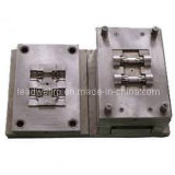 Professional Plastic Injection Mould (LW-01028)