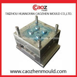 Plastic Injection/Dry Vacuum Cleaner Part Mould