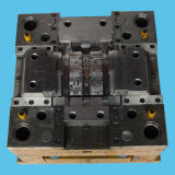 Plastic Injection Mould/Injection Mold