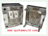 Plastic Injection Mould/Plastic Mold (QH-513)