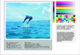 Jiaxing Fly Digital Inkjet Materials Co., Ltd.
