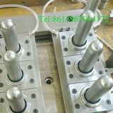 Pet Preform Mould (150506)