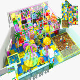 House Designs Indoor Playground Equipment (LG199)