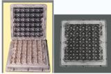 30 Eggs Tray Mould