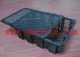 Crate Mould (QB3023)