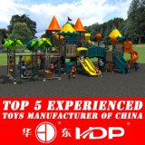 2014 Latest Large Outdoor Playground Equipment (HD14-100A)