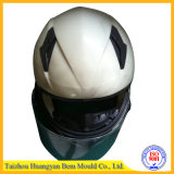 High Quality Plastic Helmet Mould/Mold (J40054)