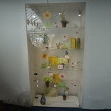 Acrylic Display Cabinet/Practical Acrylic Storage Display with Lock