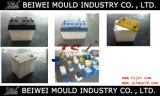 Automotive Plastic Injection Battery Case Mould