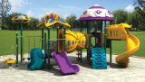 New Design Outdoor Playground (TY-01601)