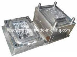 Precision Plastic Injection Mould by China Manufacturer
