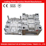 China Plastic Injection Moulding Factory, Plastic Injection Moulding (MLIE-PIM055)