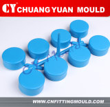 PPR Cap Mould for Pipe Fitting