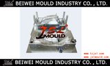 Injection Plastic Motorcycle Parts Mould (JSL-YZ15-3)