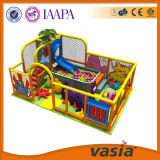 Popular Indoor Playground