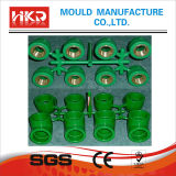 PVC PPR UPVC Pipe and Fitting Mould