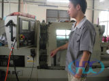 Oil Seal Mould for Vacuum Vulcanizing Press (TC, SC, TB, SB and so on)