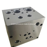 High Quality Mould Base Parts (S13)