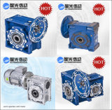 China Electric Motor Worm Gear Speed Reducer
