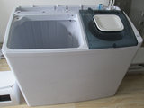 Washing Machine Mold Test Sample