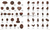 Customized Chocolate Mould, Chocolate Mold (6)