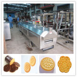 CE Proved Biscuit Machine