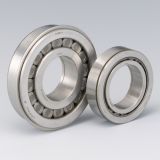 New Style Double Row Cylindrical Roller Bearings