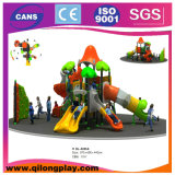 Welcomed Outdoor Playground Equipment (QL-5005A)