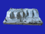 Tr Shoe Sole Mould (TR-136) Used for Tr Injection Fitting for Tr Injection Moulding Machine