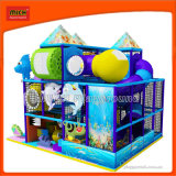 Ocean Theme Small Kids Indoor Playground Equipment