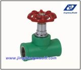 PPR Global Valve Pipe Fitting Mold