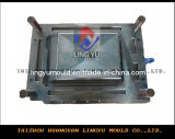 Plastic Crate Mould (LY-3019)