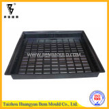 Plastic Tray Injection Mold/Mould (J400145)